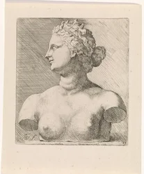 Buste van Venus de