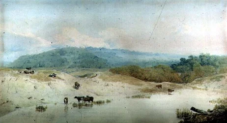 Uitzicht in Yorkshire, rivier en vee