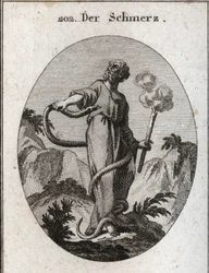 Allegorie van pijn. Een monsterlijke slang omringt hem die, nadat hij zijn voeten heeft gebonden, zijn lichaam bereikt en probeert zijn hart te bijten. Ze houdt een fakkel die nog steeds rookt, wat betekent dat pijn veroorzaakt door verlamming het vuur van