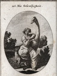 Allegorie van vraatzucht. De struisvogel is het attribuut van gulzigheid, we voegen een magere en hongerige wolf toe voor een grotere vraatzucht. Gravure in 