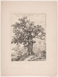 De eik van Niels Ebbesen. Gyllingnæs bos