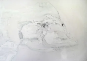 Vogelbekdier