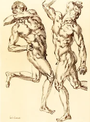 Twee mannelijke naaktstudies