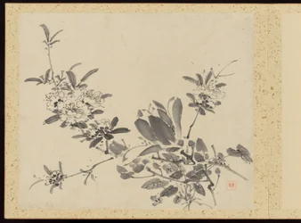 "Verfijnde elegantie in de vier seizoenen" (Shiji seiga), Album van bloemschilderijen