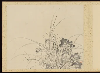 "Verfijnde elegantie in de vier seizoenen" (Shiji seiga), Album van bloemschilderijen