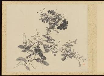 "Verfijnde elegantie in de vier seizoenen" (Shiji seiga), Album van bloemschilderijen