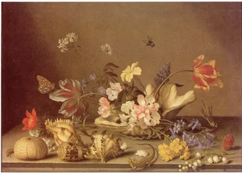 Stilleven van bloemen en schelpen