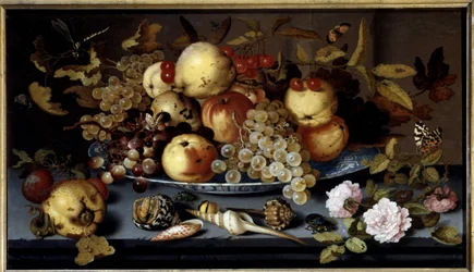 Stilleven met vruchten, bloemen, schelpen en insecten. Nederlandse School