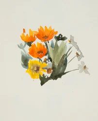 Oranje bloemen