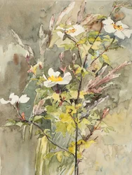Wilde bloemen