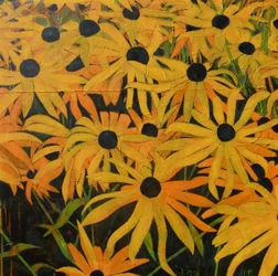 Gouden zomerbloemen
