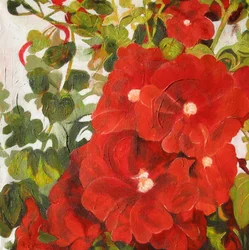 Levendige rode bloemen