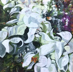 Witte bloemenvlinder