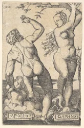 Apollo en Daphne omgekeerde kopie