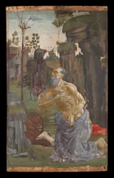 Boetedoening van Sint Hiëronymus