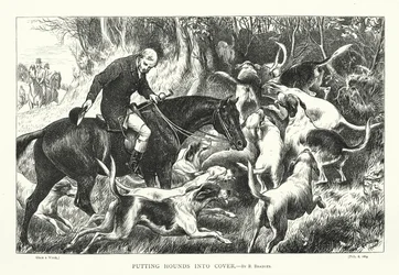 Jachthonden in dekking (gravure)