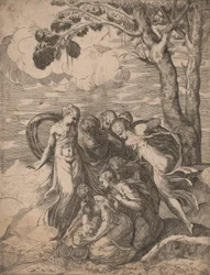 De Vondst van Mozes, 1540s
