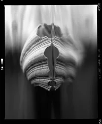 Abstracte organische lagen