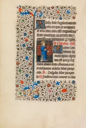 Saint Lawrence met een rooster