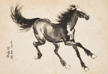 Galopperend paard