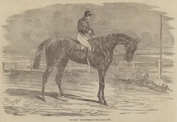 Andover, de winnaar van de Derby, 1854