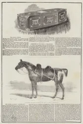 Hertog van Wellington