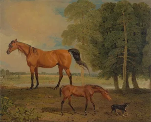 Broodmare met veulen en een terriër