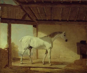 Het paard van de graaf van Coventry