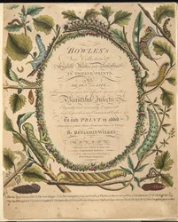 Frontispice uit Een Zeldzame Afbeelding van Vlinders en Motten, uitgegeven 1764