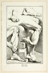 Ontwerp: Benen en voeten, uit Encyclopédie