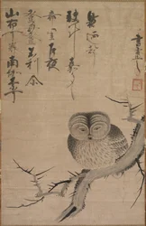 Uil, 1630-1640