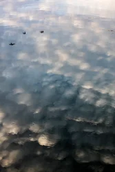 Reflecties van wolken en vogels op het oppervlak van de rivier de Garonne in Toulouse, Haute-Garonne (foto)