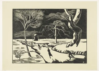 Wintergezicht