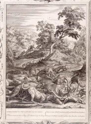 Actaeon veranderd in een hert en verslonden door zijn honden, 1731