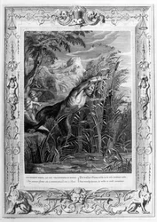 Pan achtervolgt Syrinx die in een riet wordt veranderd, 1733