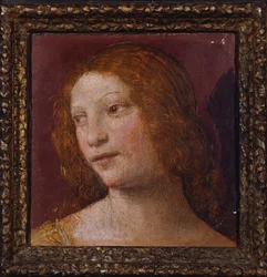 Het Hoofd van een Engel - een fragment