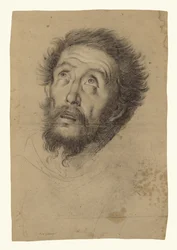 Hoofd van de heilige Franciscus (recto); Studies van het hoofd van de heilige Franciscus, het hoofd van een oude man en twee rechterhanden (verso)