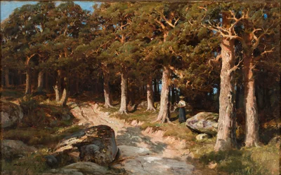 Vrouw in het bos