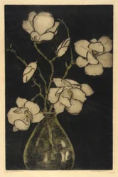 Lentebloesems (Boom Magnolia)