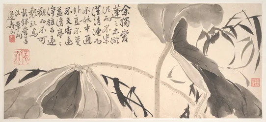 Lotusbladeren en waterriet (albumblad; inkt op papier)