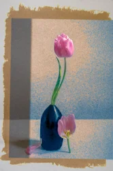 Stilleven met roze tulpen