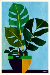 Moderne Monstera in pot