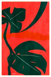 Monstera-junglebladeren