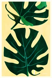 Tropische Monstera-bladeren