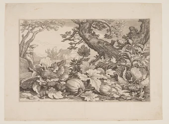 Plaat 13, uit Landschappen met boerderijen