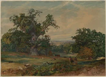 Uitzicht nabij Bedford