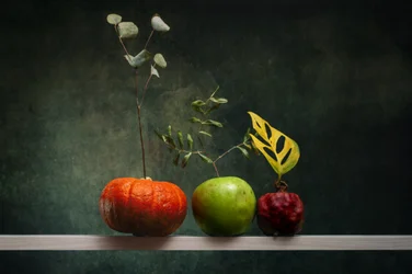 Herfstarrangement met fruit