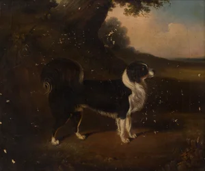 Portret van een hond