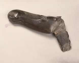 Hoofd van een vrouwelijke eland, uit Jekaterinenburg in de Oeral