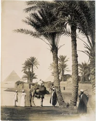 Palmbos aan de voet van de piramides van Egypte - foto van de Zangali broers, eind 19e eeuw
